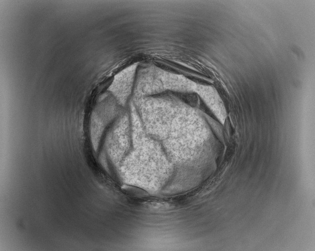 X0000116670512201001041132