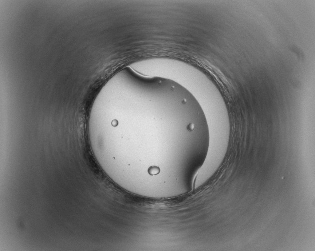 X0000116670513201001041132