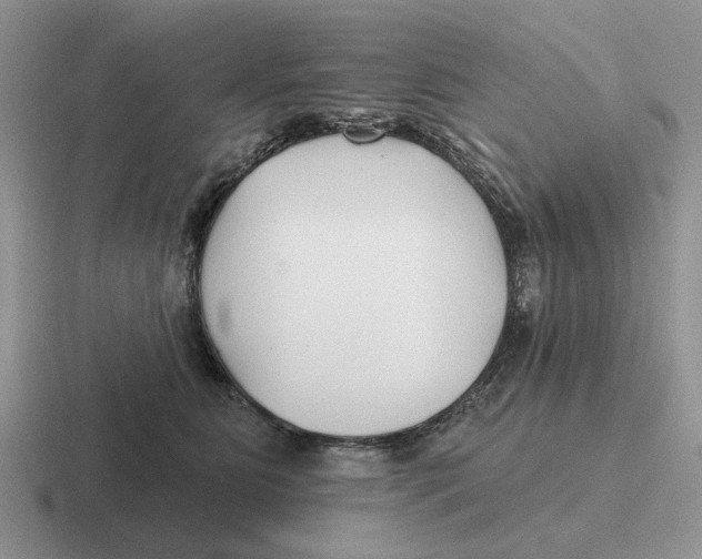 X0000116670515201001041132