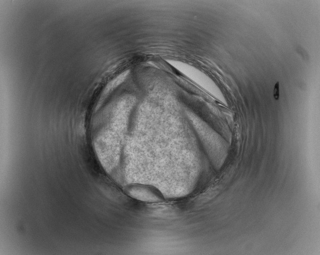 X0000116670516201001041132