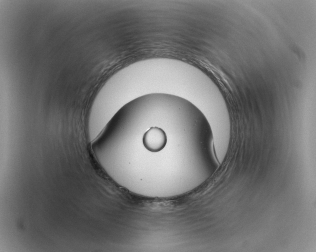 X0000116670517201001041132