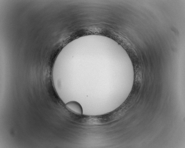 X0000116670518201001041132