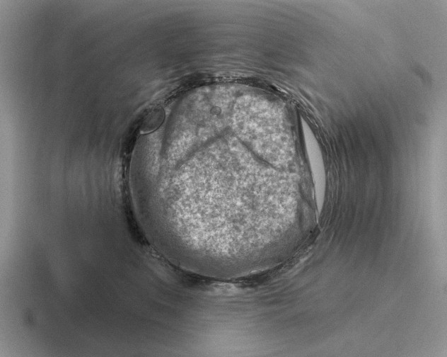 X0000116670519201001041132