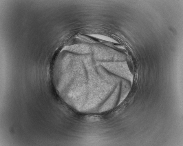 X0000116670520201001041132