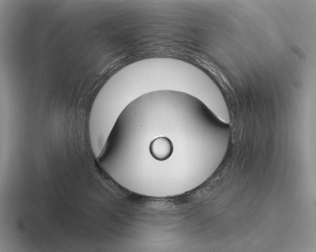 X0000116670521201001041132