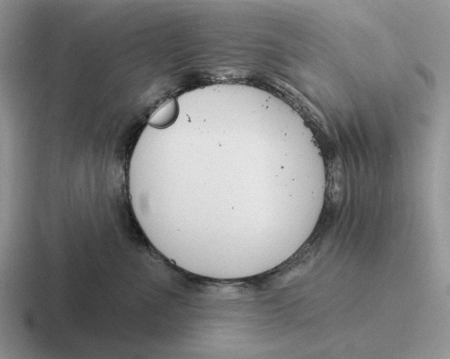 X0000116670523201001041132