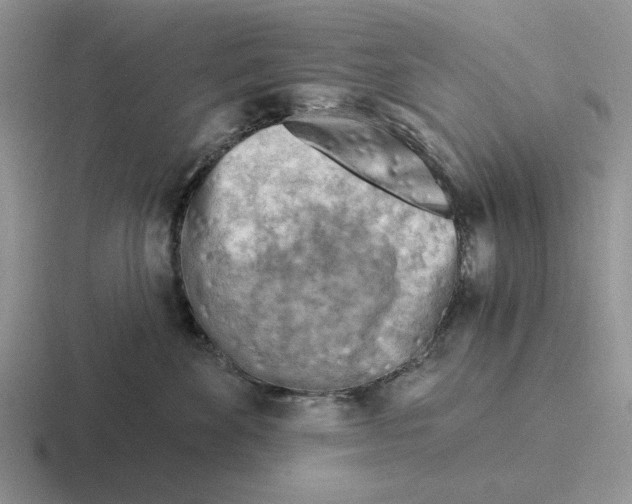 X0000116670524201001041132