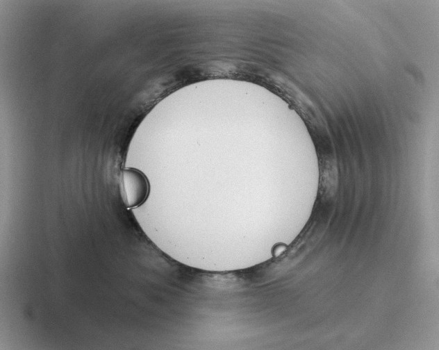 X0000116670525201001041132