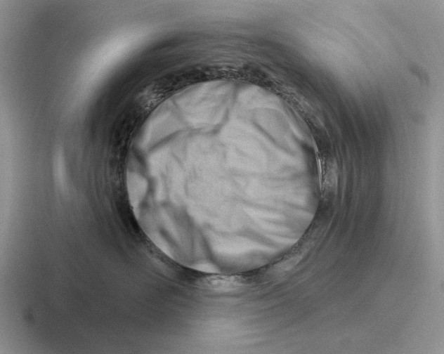 X0000116670526201001041132