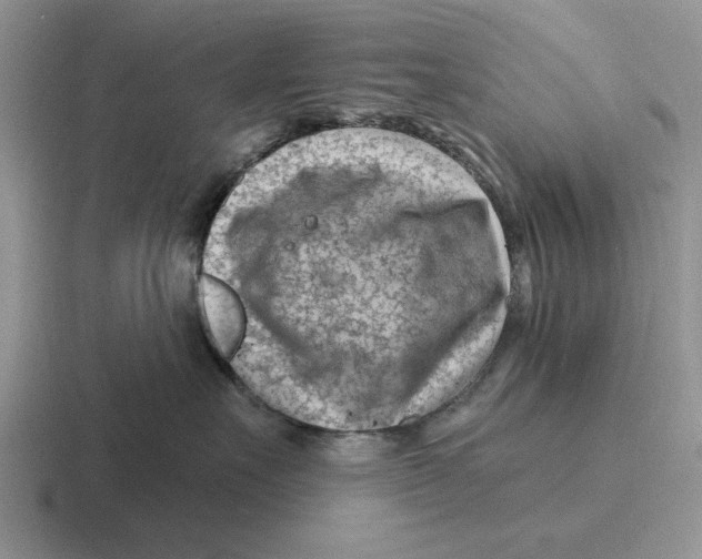 X0000116670527201001041132