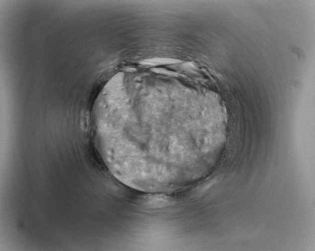 X0000116670528201001041132