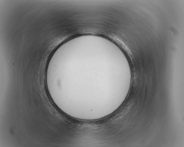 X0000116670529201001041131