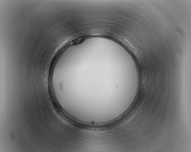 X0000116670530201001041131