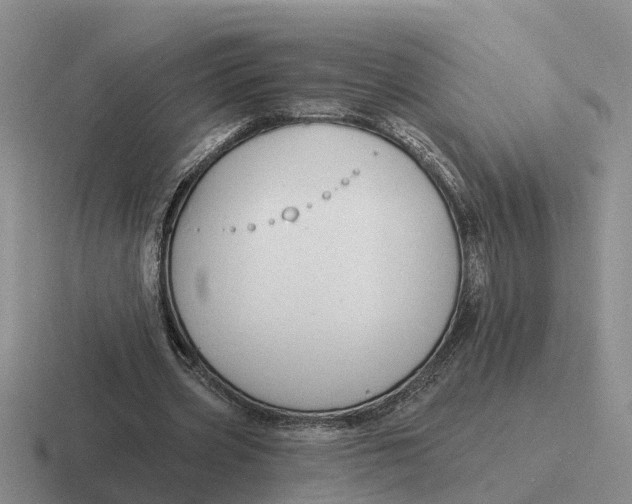 X0000116670533201001041131