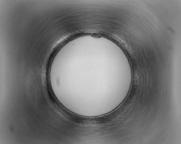 X0000116670535201001041131