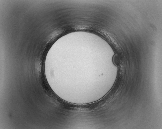 X0000116670539201001041131