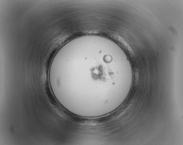 X0000116670541201001041131