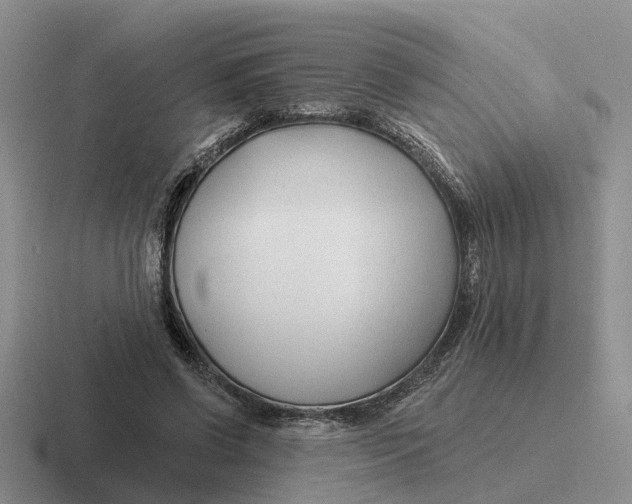 X0000116670542201001041131