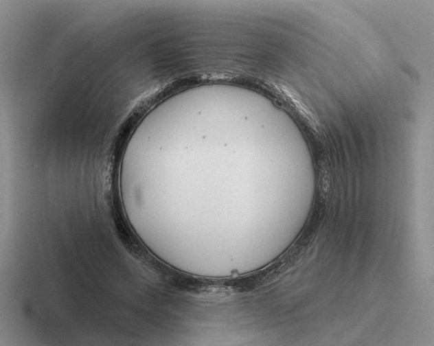 X0000116670543201001041131