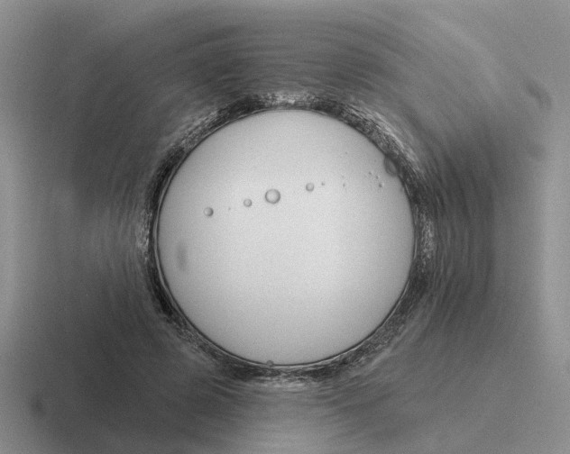 X0000116670545201001041131