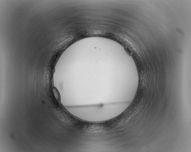 X0000116670546201001041131