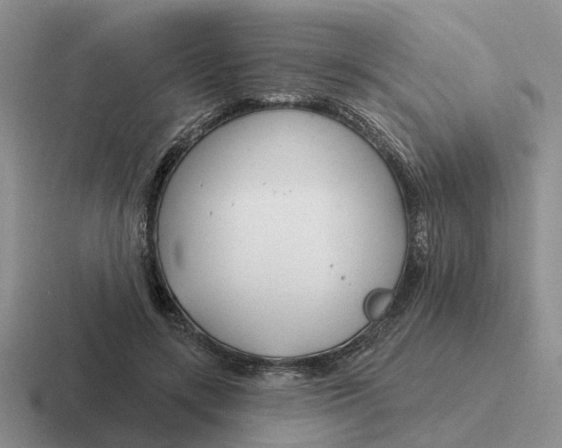 X0000116670547201001041131