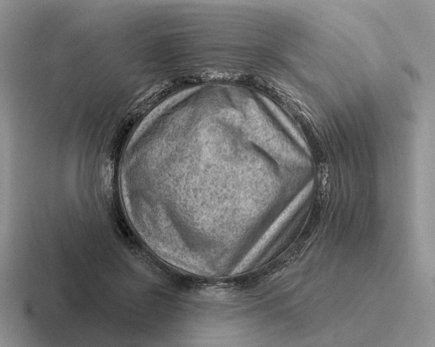 X0000116670550201001041131