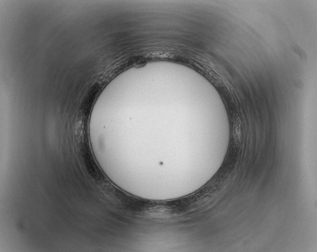 X0000116670551201001041131