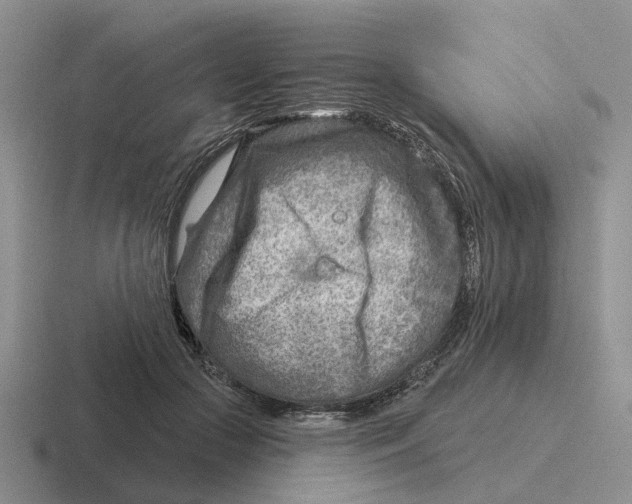 X0000116670553201001041131