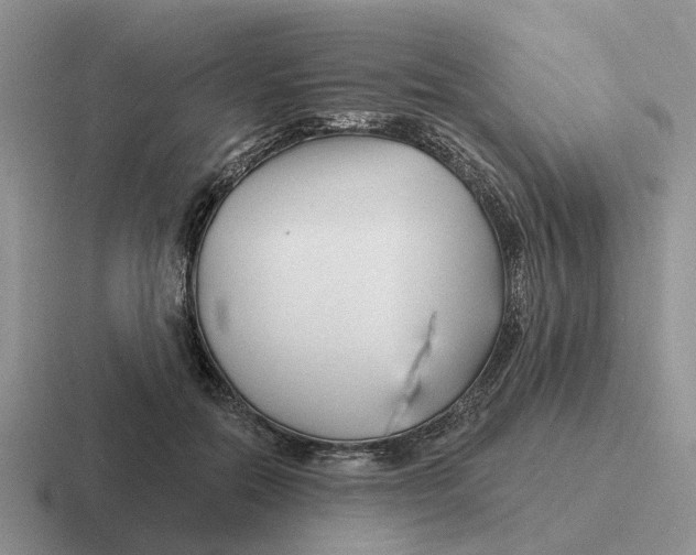 X0000116670554201001041131