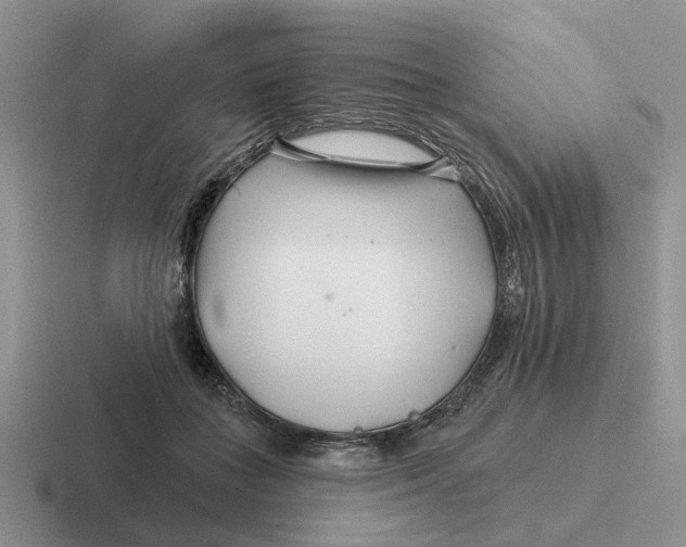 X0000116670555201001041131