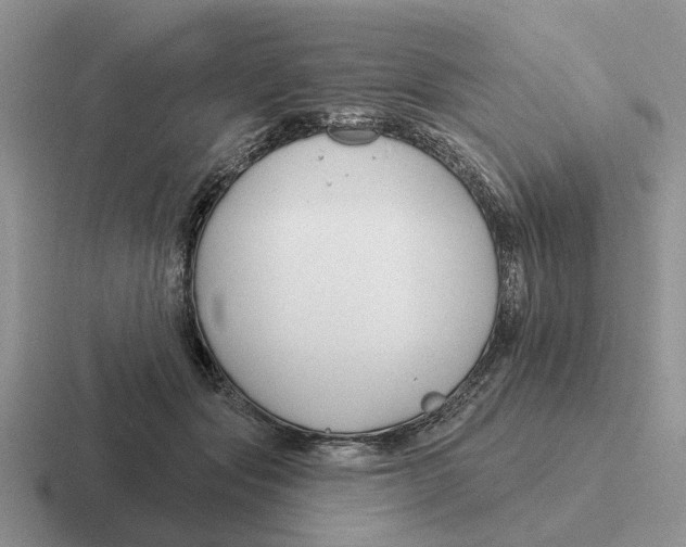 X0000116670557201001041131