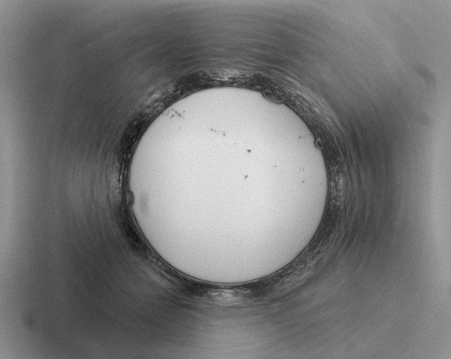 X0000116670558201001041131