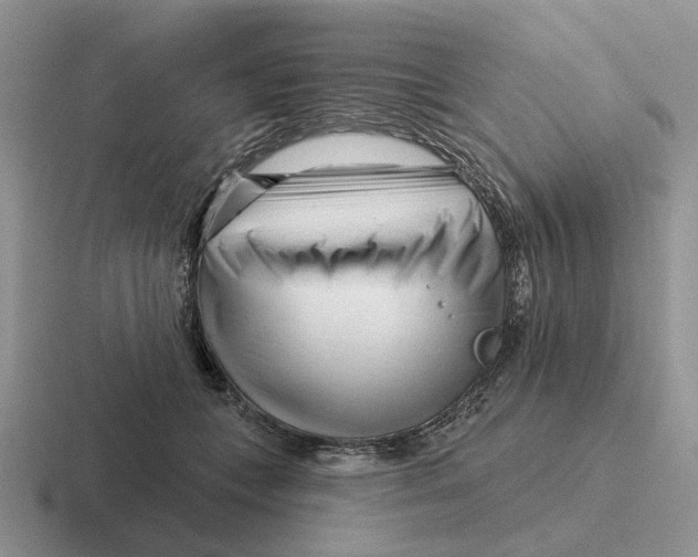 X0000116670559201001041131