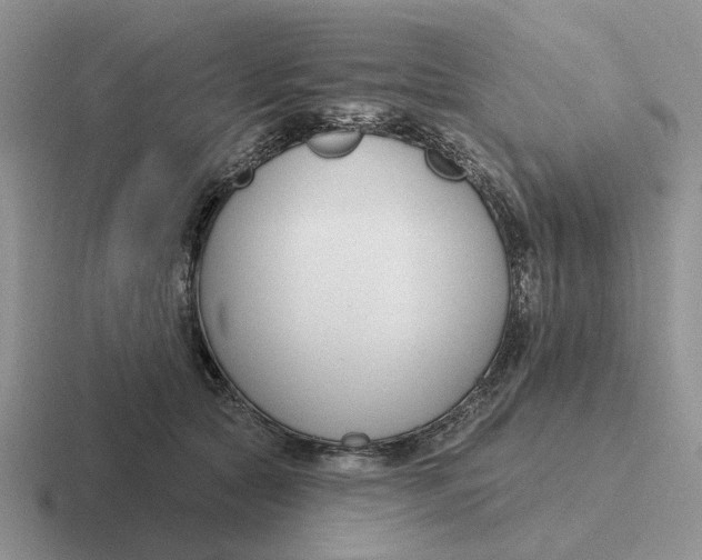 X0000116670561201001041131