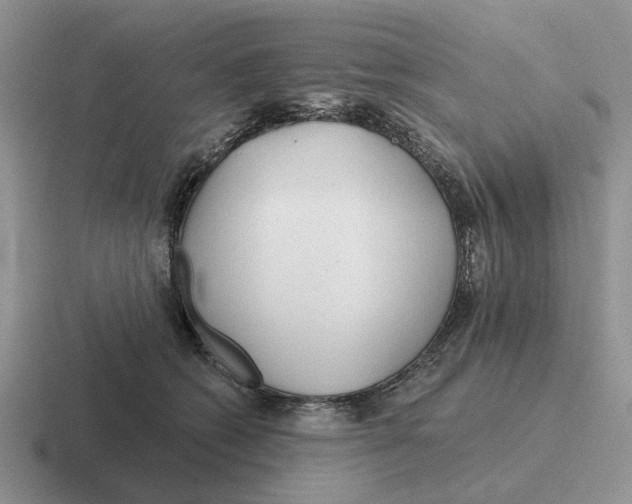 X0000116670562201001041131