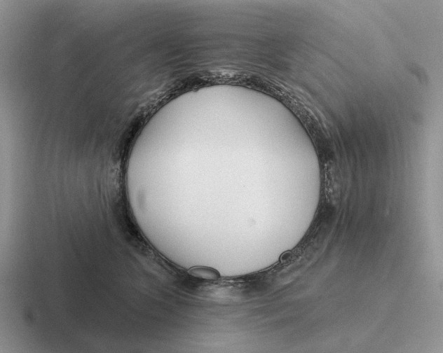 X0000116670563201001041131