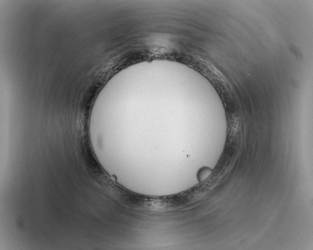 X0000116670565201001041131