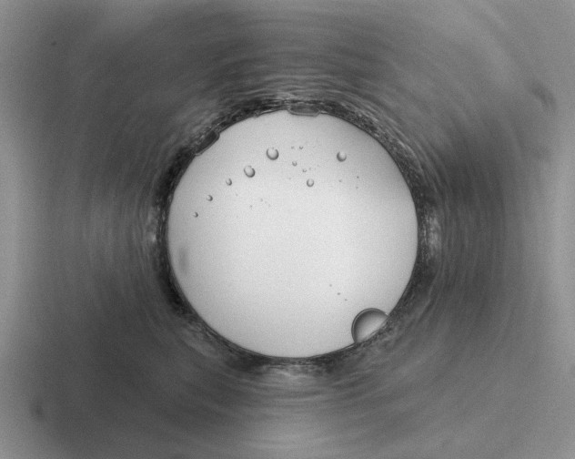 X0000116670567201001041131