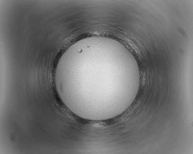 X0000116670569201001041131