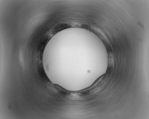 X0000116670573201001041132