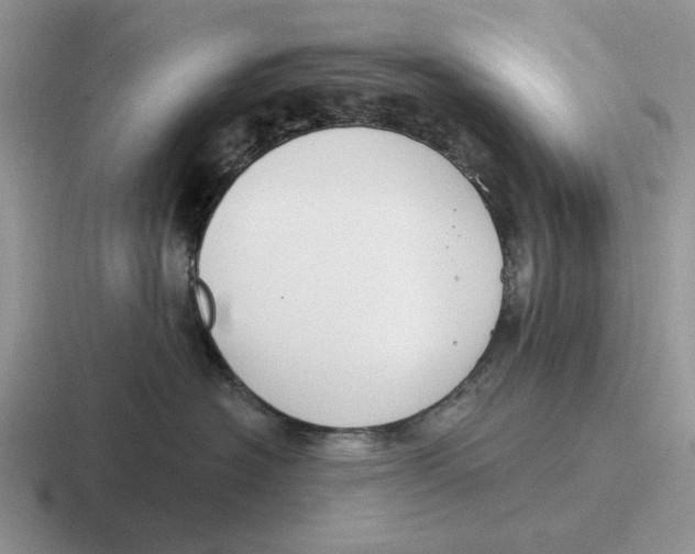 X0000116670574201001041132