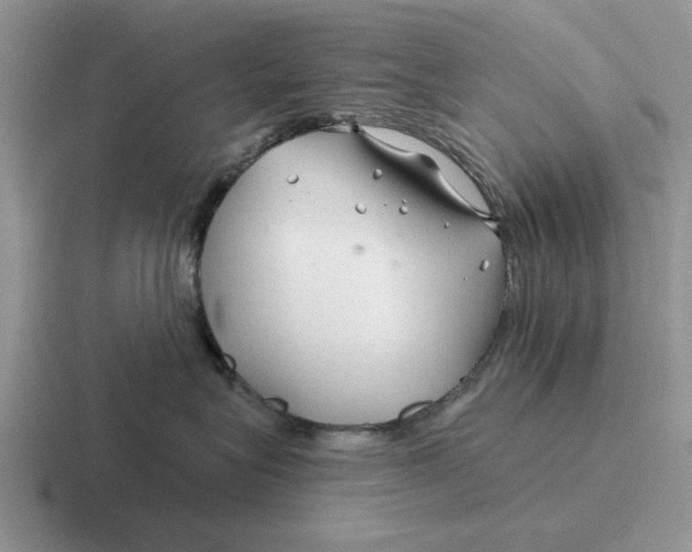 X0000116670575201001041132