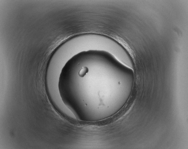 X0000116670577201001041131