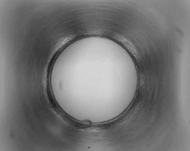 X0000116670578201001041131