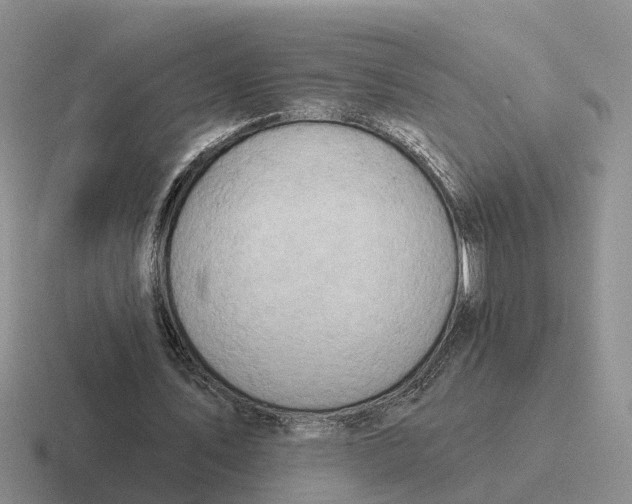 X0000116670579201001041131