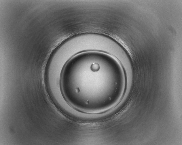 X0000116670581201001041131