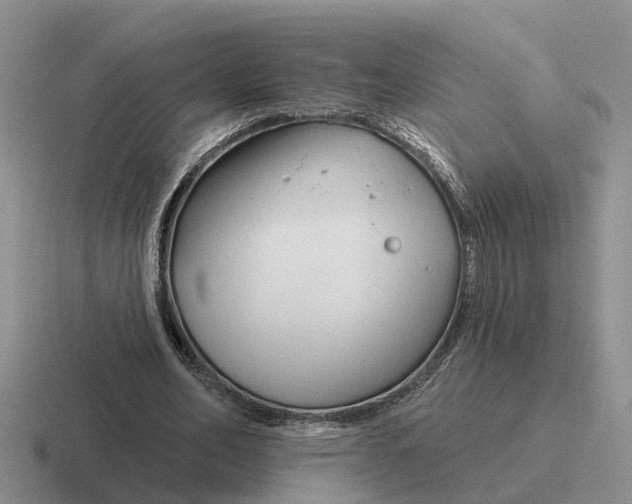 X0000116670582201001041131