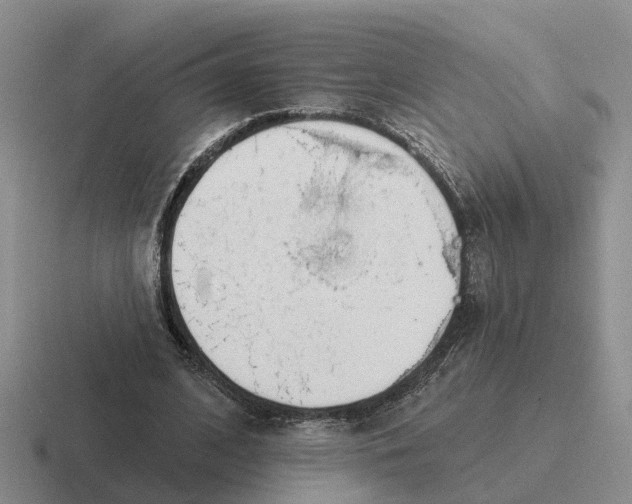 X0000116670584201001041131