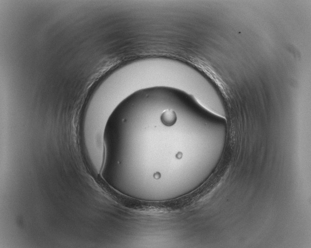 X0000116670585201001041131